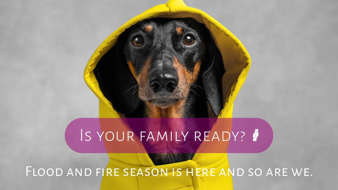 Advertising%20 %20IBABC%20ad%20Thumbnail 1080px